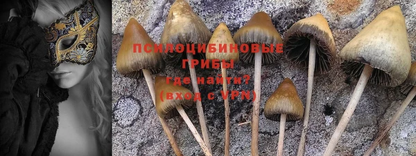 мяу мяу мука Абдулино