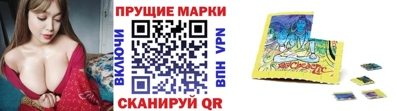 закладки  darknet как зайти  Марки N-bome 1500мкг  Полярный 